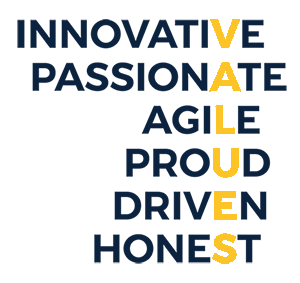 Zenith values framework