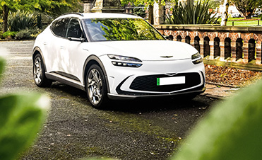 Image of Bentley in outdoor setting