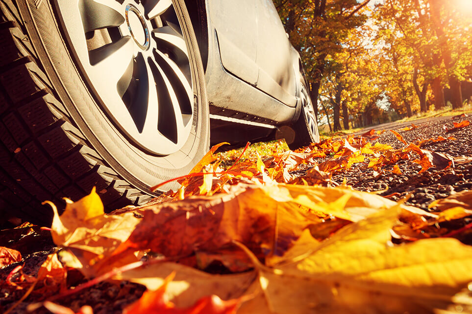 Image of car driving in autumn leaves