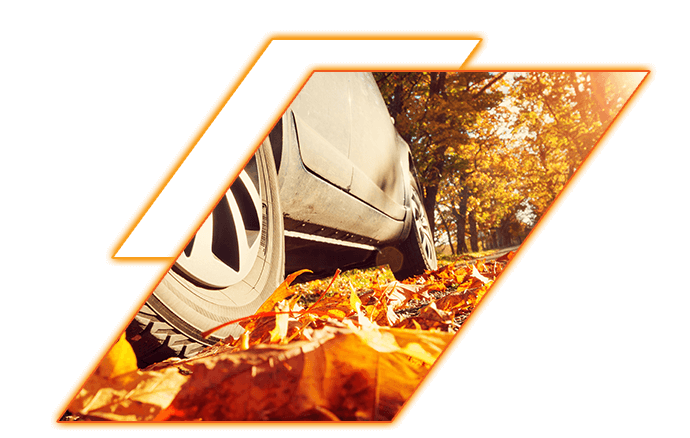 Image of car wheels in autumn leaves on a sunny day