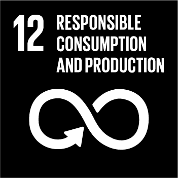 UN Sustainable Development Goal number 11 - responsible consumption and production