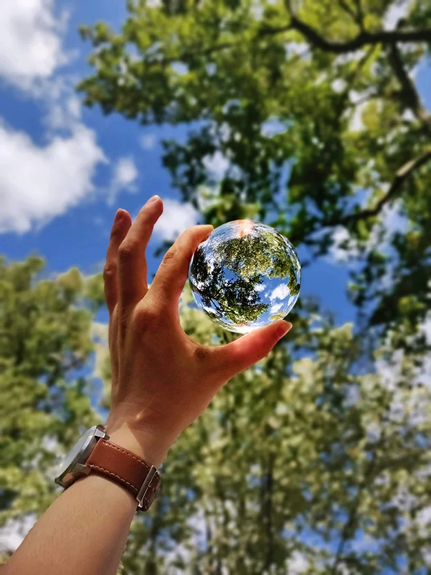 Person with hand holding up a clear sphere in front of a tree and the leaves make it look like the silhouette of the earth.
