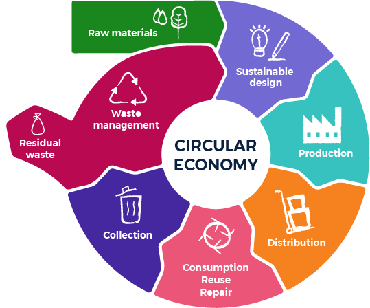 Circular economy lifecycle infographic demonstrating the circular process of raw materials, sustainable design, production, distribution, consumption, reuse, repair, collection, waste management and residual waste.