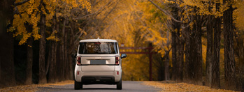 car driving in autumn.