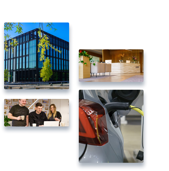 collage of approved images