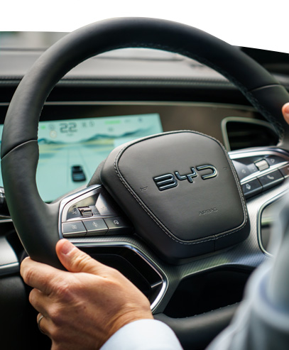BYD steering wheel