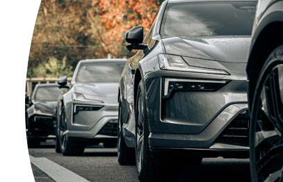 polestars parked
